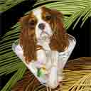 cavalier king charles spaniel dog art and martini dogs, cavalier king charles spaniel dog pop art prints, dog paintings, dog portraits and martini pet portraits in colorful original dog art and fine art dog prints by artists Jane Billman and Gregg Billman