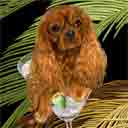cavalier king charles spaniel dog art and martini dogs, cavalier king charles spaniel dog pop art prints, dog paintings, dog portraits and martini pet portraits in colorful original dog art and fine art dog prints by artists Jane Billman and Gregg Billman