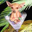 chihuahua art, chihuahua pop art dog prints, chihuahua paintings, pet portraits and dog prints in colorful original dog art and fine art dog prints by artists Jane Billman and Gregg Billman