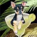 chihuahua dog art and margarita dogs, chihuahua dog pop art prints, dog paintings, dog portraits and margarita pet prints in colorful original chihuahua dog art and fine art dog prints by artist Jane Billman and Gregg Billman