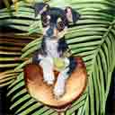 chihuahua dog art and wine dogs, chihuahua dog pop art, dog paintings, party dogs and wine pet portraits in colorful original chihuahua dog art and fine art dog prints by artist Jane Billman and Gregg Billman