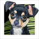 black and tan chihuahua dog art and dog headshots, chihuahua dog pop art prints, dog paintings, pet portraits, dog headshots and pet prints in colorful original chihuahua dog art and fine art dog prints by artists Jane Billman and Gregg Billman