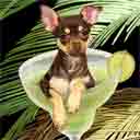 chihuahua dog art and margarita dogs, chihuahua dog pop art prints, dog paintings, dog portraits and margarita pet prints in colorful original chihuahua dog art and fine art dog prints by artist Jane Billman and Gregg Billman