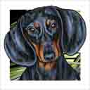 black dachshund dog art and dog headshots, dachshund dog pop art prints, dog paintings, pet portraits, dog headshots and pet prints in colorful original dachshund dog art and fine art dog prints by artists Jane Billman and Gregg Billman
