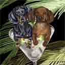 black and red longhair dachshunds dog art and martini dogs, black and red longhair dachshunds dog pop art prints, dog paintings, dog portraits and martini pet portraits in colorful original black and red longhair dachshunds dog art and fine art dog prints by artists Jane Billman and Gregg Billman