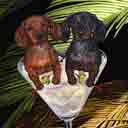 dachshunds dog art and martini dogs, dachshunds dog pop art prints, dog paintings, dog portraits and martini pet portraits in colorful original dachshunds dog art and fine art dog prints by artists Jane Billman and Gregg Billman