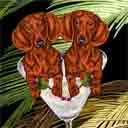 red adult and red adult dachshunds dog art and martini dogs, red adult and red adult dachshunds dog pop art prints, dog paintings, dog portraits and martini pet portraits in colorful original red adult and red adult dachshunds dog art and fine art dog prints by artists Jane Billman and Gregg Billman