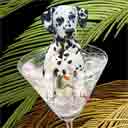 dalmation art, dalmation pop art dog prints, dalmation paintings, pet portraits and dog prints in colorful original dog art and fine art dog prints by artists Jane Billman and Gregg Billman