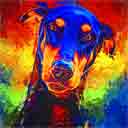 doberman pinscher art, doberman pinscher pop art dog prints, doberman pinscher paintings, pet portraits and dog prints in colorful original dog art and fine art dog prints by artists Jane Billman and Gregg Billman