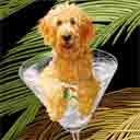 apricot red goldendoodle dog art and martini dogs, goldendoodle dog pop art, dog paintings, party dogs and martini pet portraits in colorful original goldendoodle dog art and fine art dog prints by artists Jane Billman and Gregg Billman