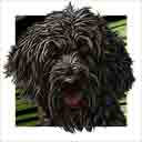 black goldendoodle dog art and dog headshots, black goldendoodle dog pop art prints, dog paintings, dog portraits, dog headshots and pet prints in colorful original black goldendoodle dog art and fine art dog prints by artists Jane Billman and Gregg Billman