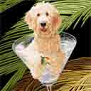 goldendoodle art, goldendoodle pop art dog prints, goldendoodle paintings, pet portraits and dog prints in colorful original dog art and fine art dog prints by artists Jane Billman and Gregg Billman