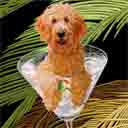 red goldendoodle dog art and martini dogs, goldendoodle dog pop art, dog paintings, party dogs and martini pet portraits in colorful original goldendoodle dog art and fine art dog prints by artists Jane Billman and Gregg Billman