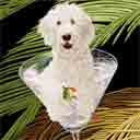 white goldendoodle dog art and martini dogs, goldendoodle dog pop art, dog paintings, party dogs and martini pet portraits in colorful original goldendoodle dog art and fine art dog prints by artists Jane Billman and Gregg Billman