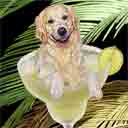 golden retriever margarita dog art and dog headshots, golden retriever margarita dog pop art prints, dog paintings, pet portraits, dog headshots and dog prints in colorful original golden retriever margarita dog art and fine art dog prints by artists Jane Billman and Gregg Billman