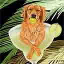 golden retriever dog art and margarita dogs, golden retriever dog pop art prints, dog paintings, dog portraits and margarita pet portraits in colorful original golden retriever dog art and fine art dog prints by artist Jane Billman and Gregg Billman