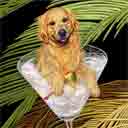 medium gold golden retriever dog art and martini dogs, golden retriever dog pop art prints, dog paintings, dog portraits and martini pet portraits in colorful original golden retriever dog art and fine art dog prints by artists Jane Billman and Gregg Billman
