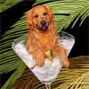 red golden retriever dog art and martini dogs, golden retriever dog pop art prints, dog paintings, dog portraits and martini pet portraits in colorful original golden retriever dog art and fine art dog prints by artists Jane Billman and Gregg Billman