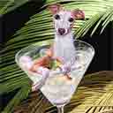 italian greyhound art, italian greyhound pop art dog prints, italian greyhound paintings, pet portraits and dog prints in colorful original dog art and fine art dog prints by artists Jane Billman and Gregg Billman