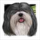 black and white havanese dog art and dog headshots, havanese dog pop art prints, dog paintings, dog portraits, dog headshots and pet prints in colorful original havanese dog art and fine art dog prints by artists Jane Billman and Gregg Billman