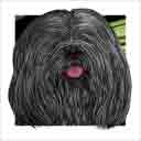 black havanese dog art and dog headshots, havanese dog pop art prints, dog paintings, dog portraits, dog headshots and pet prints in colorful original havanese dog art and fine art dog prints by artists Jane Billman and Gregg Billman