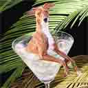 light fawn and white italian greyhound dog art and martini dogs, italian greyhound dog pop art, dog paintings, party dogs and martini pet portraits in colorful original italian greyhound dog art and fine art dog prints by artists Jane Billman and Gregg Billman