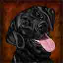 just one look dog art and martini dogs, black labrsdor retriever dog pop art prints, dog paintings, pet portraits and martini pet prints in colorful original yorkshire terriers dog art and fine art dog prints by artist Jane Billman and Gregg Billman