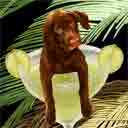 chocolate lab dog art and margarita dogs, lab dog pop art prints, dog paintings, dog portraits and margarita pet prints in colorful original lab dog art and fine art dog prints by artists Jane Billman and Gregg Billman
