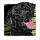 lab dog art and dog headshots, lab dog pop art prints, dog paintings, dog portraits and dog headshots pet prints in colorful original lab dog art and lab fine art dog prints by artists Jane Billman and Gregg Billman
