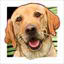 lab dog art and dog headshots, lab dog pop art prints, dog paintings, dog portraits and dog headshots pet prints in colorful original lab dog art and lab fine art dog prints by artists Jane Billman and Gregg Billman