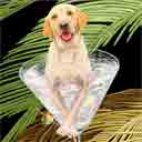 lab dog art and martini dogs, lab dog pop art, dog paintings, party dogs and martini pet portraits in colorful original lab dog art and lab fine art dog prints by artists Jane Billman and Gregg Billman