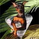 min pin art, min pin pop art dog prints, min pin paintings, pet portraits and dog prints in colorful original dog art and fine art dog prints by artists Jane Billman and Gregg Billman