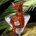 red miniature pinscher dog art and martini dogs, miniature pinscher dog pop art, dog paintings, party dogs and martini pet portraits in colorful original miniature pinscher dog art and fine art dog prints by artist Jane Billman and Gregg Billman