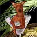 red miniature pinscher dog art and martini dogs, miniature pinscher dog pop art, dog paintings, party dogs and martini pet portraits in colorful original miniature pinscher dog art and fine art dog prints by artist Jane Billman and Gregg Billman