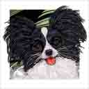papillon dog art and dog headshots, papillon dog pop art, dog paintings, dog portraits and dog headshots pet prints in colorful original papillon dog art and fine art dog prints by artists Jane Billman and Gregg Billman