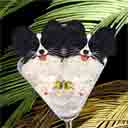 papillons dog art and martini dogs, papillons dog pop art, dog paintings, party dogs and martini pet portraits in colorful original papillons dog art and fine art dog prints by artists Jane Billman and Gregg Billman