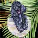 black poodle dog art and wine dogs, black poodle dog pop art, dog paintings, party dogs and wine pet portraits in colorful original black poodle dog art and fine art dog prints by artists Jane Billman and Gregg Billman