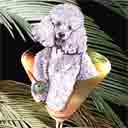 white poodle dog art and martini dogs, white poodle dog pop art, dog paintings, party dogs and martini pet portraits in colorful original white poodle dog art and fine art poodle dog prints by artists Jane Billman and Gregg Billman