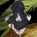 portuguese water dog dog art and wine dogs, portuguese water dog dog pop art prints, dog paintings, pet portraits and wine pet prints in colorful original portuguese water dog dog art and fine art dog prints by artist Jane Billman and Gregg Billman