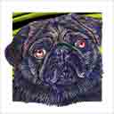 pug dog art and dog headshots, pug dog pop art prints, dog paintings, dog portraits and dog headshots pet prints in colorful original pug dog art and fine art pug dog prints by artists Jane Billman and Gregg Billman