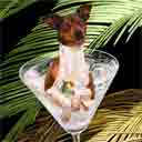 rat terrier art, rat terrier pop art dog prints, rat terrier paintings, pet portraits and dog prints in colorful original dog art and fine art dog prints by artists Jane Billman and Gregg Billman