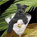 schnauzer dog art and martini dogs, schnauzer dog pop art, dog paintings, party dogs and martini pet portraits in colorful original schnauzer dog art and fine art schnauzer dog prints by artists Jane Billman and Gregg Billman