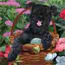 schnauzer dog art and dogs in a basket, schnauzer dog pop art prints, dog paintings, dog portraits and martini pet portraits in colorful original schnauzer dog art and fine art schnauzer dog prints by artists Jane Billman and Gregg Billman