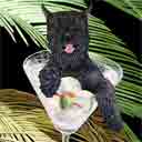 schnauzer dog art and martini dogs, schnauzer dog pop art, dog paintings, party dogs and martini pet portraits in colorful original schnauzer dog art and fine art schnauzer dog prints by artists Jane Billman and Gregg Billman
