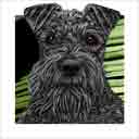 schnauzer dog art and dog headshots, schnauzer dog pop art prints, dog paintings, dog portraits and dog headshots pet prints in colorful original schnauzer dog art and fine art schnauzer dog prints by artists Jane Billman and Gregg Billman
