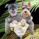 grey and grey cropped schnauzers dog art and dogs in a basket, schnauzers dog pop art, dog paintings, party dogs and martini pet portraits in colorful original schnauzers dog art and fine art schnauzers dog prints by artists Jane Billman and Gregg Billman