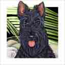 scottie, dog art and dog headshots, scottie dog pop art prints, dog paintings, dog portraits and dog headshots pet prints in colorful original scottie dog art and fine art dog prints by artists Jane Billman and Gregg Billman