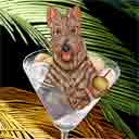 scottie dog art and dogs in a basket, scottie dog pop art, dog paintings, party dogs and martini pet portraits in colorful original scottie dog art and fine art dog prints by artists Jane Billman and Gregg Billman