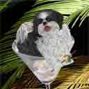 shih tzu art, shih tzu pop art dog prints, shih tzu paintings, pet portraits and dog prints in colorful original dog art and fine art dog prints by artists Jane Billman and Gregg Billman