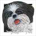 shih tzu dog art and dog headshots, shih tzu dog pop art prints, dog paintings, dog portraits and dog headshots pet prints in colorful original shih tzu dog art and fine art shih tzu dog prints by artists Jane Billman and Gregg Billman